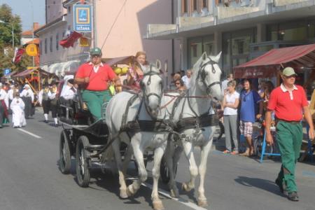 Povorka 7